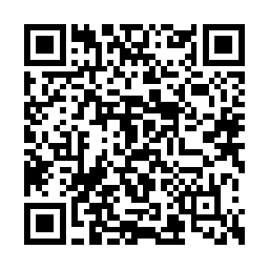 所以你们人鱼的势力就跟着我们九原一起扩展了二维码生成