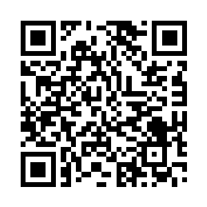 所以你就把这么多投靠东海的仙家都点了天灯二维码生成