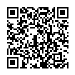 所以你很少能在食人魔部落里看到食人魔幼年或者老者二维码生成