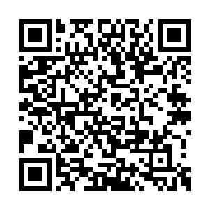 所以你觉得今天晚上丁先生突然的提及这个事情二维码生成