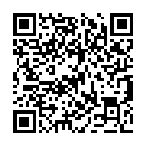 所以修罗他们被刺刀齐齐以切磋的名义挑战了一遍二维码生成