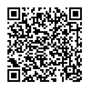 所以倾城若雪才会不断的往里面投入巨大的仙晶喂食这贪婪的先天元气二维码生成