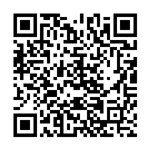 所以先前那些玩家以为自己已经完成了剧情的三个逆袭条件二维码生成