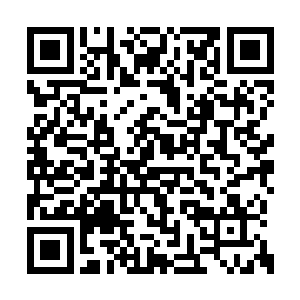 所以全都强硬要求在秦家全境实施身份等级制度二维码生成