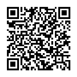 所以共工分身和敖历等人只是象征性地攻打了几下二维码生成