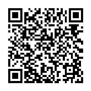 所以其他四家送来的子嗣和弟子无不是精挑细选二维码生成