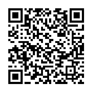 所以凌煦让玄月把它如地球仪展开后的世界地图一样二维码生成