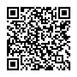 所以凌菲开始准备的时候弄的大家也都有点紧张起来二维码生成