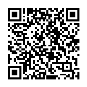 所以几个大妈大嫂心领神会的点点头谢了小巴就开始操作二维码生成