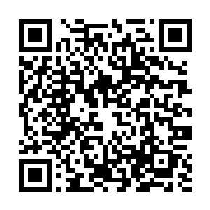 所以几天后顺儿小心翼翼地向父皇和母后提出想出海时二维码生成