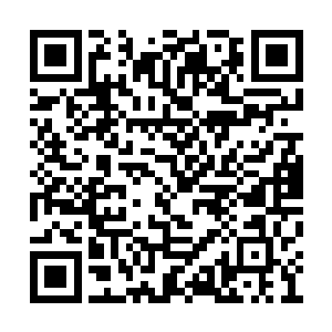 所以刚才他才会一眼就认出出现在身后的夭华来二维码生成