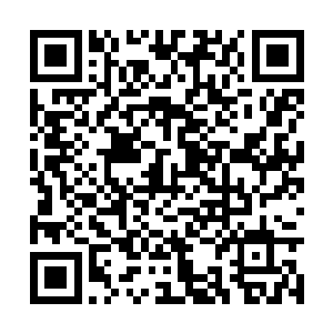 所以刚才她刚知道这个顾清尘竟然敢主动找上魔宗二维码生成