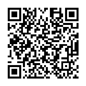 所以刚才张璐涵让你们排练吻戏的时候你才不想吻小秋二维码生成