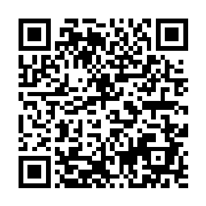 所以刚才海公公检查的时候就检查出来苏落体内有灵气二维码生成