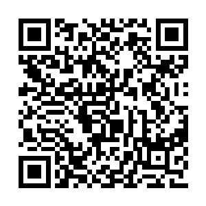 所以刚才看见你吃血水混杂的牛排还有点不舒服二维码生成