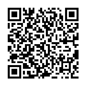 所以到如今也没有人知道那域外究竟是一个什么的样的世界二维码生成