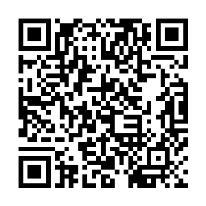 所以前几时正巧也看过叶老发表出来的关于八大山人的论著二维码生成