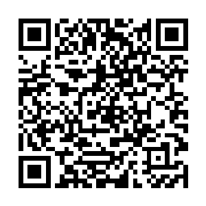 所以前段时间我在江州市的北仓县寻了一处山林之处二维码生成