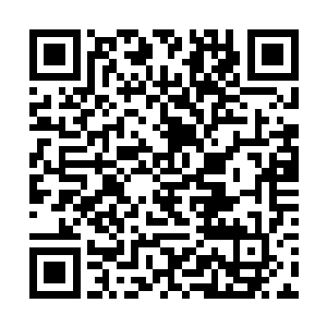 所以十大隐宗和九帝家族这七十多万年才能一直存在二维码生成