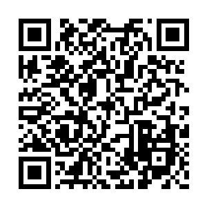 所以卡尔德隆完全没想到荣光会拒绝的干脆利落二维码生成