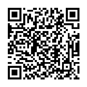 所以即便在冬天它也会在有太阳的日子出来晒晒太阳二维码生成