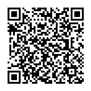 所以即便是一般的后天八重的武者也不敢轻易的招惹成年的赤练蟒二维码生成
