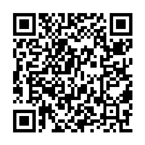 所以即便是龙华一开始照顾的时候有点手忙脚乱二维码生成