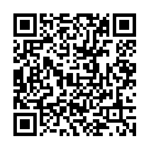 所以原主所做的一切其实都是按照剧情设定进行的二维码生成