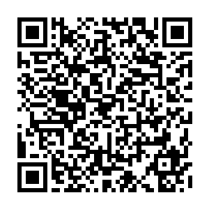 所以原本巴克以为可以带妹妹到附近什么城镇去看看风土人情的生日活动二维码生成