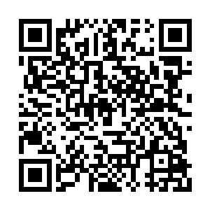 所以县城里能吃的好东西基本都被他们搜罗遍了二维码生成