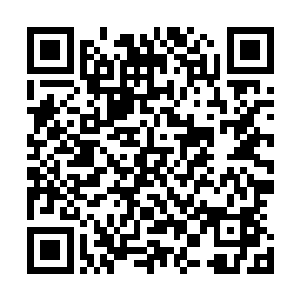 所以叛能者不少成员早就想不用再过这种不见天日的日子了二维码生成