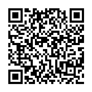 所以只好抓着年纪小一点的苏辙扮出一副慈母的恶心样子二维码生成