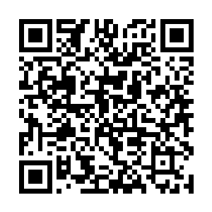 所以只能任由叶芊芊带着蚀心蛊进入到山苗禁地之中二维码生成