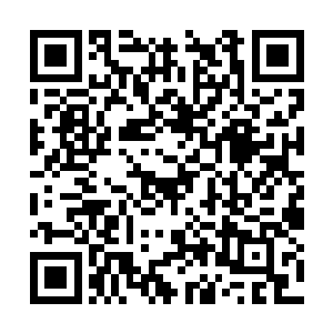 所以只能眼睁睁的些珍贵的魔力却滋润周围的环境二维码生成