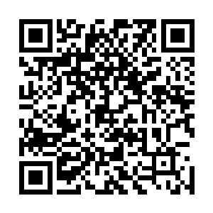 所以只能老太挑带着四姨娘和几位小姐去参加太子妃的聚会二维码生成