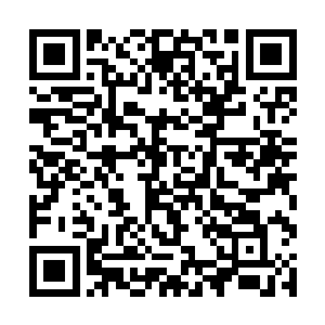 所以只要他们能够继续在禁区里形成一道横着的防线二维码生成