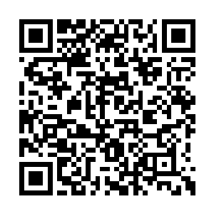 所以只要你们用这些力量包裹在自己的攻击之上二维码生成