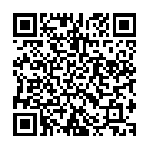 所以只见就在那白虎将獠牙利爪深深刺入双子神身体的下一刻二维码生成