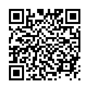 所以叶然轻松便是落在了它的背上二维码生成