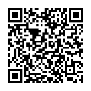 所以吃的时候只顾着填饱肚子根本就没想过吃的是啥二维码生成