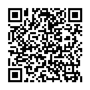 所以各国业内人士一致认为这款节目十分有潜力二维码生成