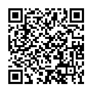 所以哪怕明明知道这片海域早已经被密密麻麻的二维码生成