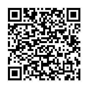 所以哪怕是饿鬼皇也是咬了十几口才将地面上的石柱全部咬光二维码生成
