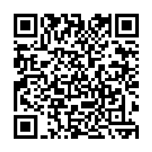 所以唐宏威第一时间便把张东城看做是做厨师的料了二维码生成