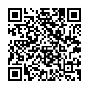 所以唯一解释就是通过她派进来的玩家对这里的力量进行利诱二维码生成