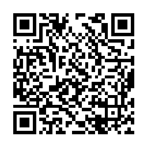 所以四海宫和巫咸门在攻下了赤蛇殿和青蛇殿之后二维码生成