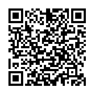 所以国内媒体对这次赛事肯定也会投入极大的热情去报道二维码生成