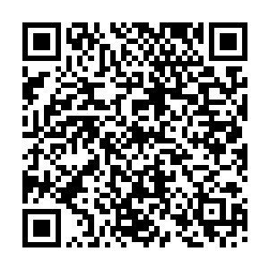 所以圆圆对一个要钱有钱要权有权要貌有貌的藩王动心也是可以理解的……二维码生成