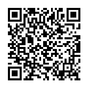 所以土耳其这边就尽量成片的开垦农田恢复植被二维码生成