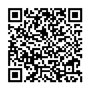 所以圣灵们其实早已得到了灼照幽莹的本源馈赠二维码生成